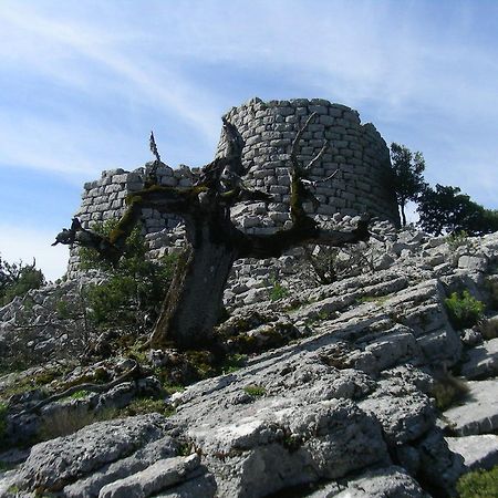 Agriturismo Didone Dorgali Exteriör bild