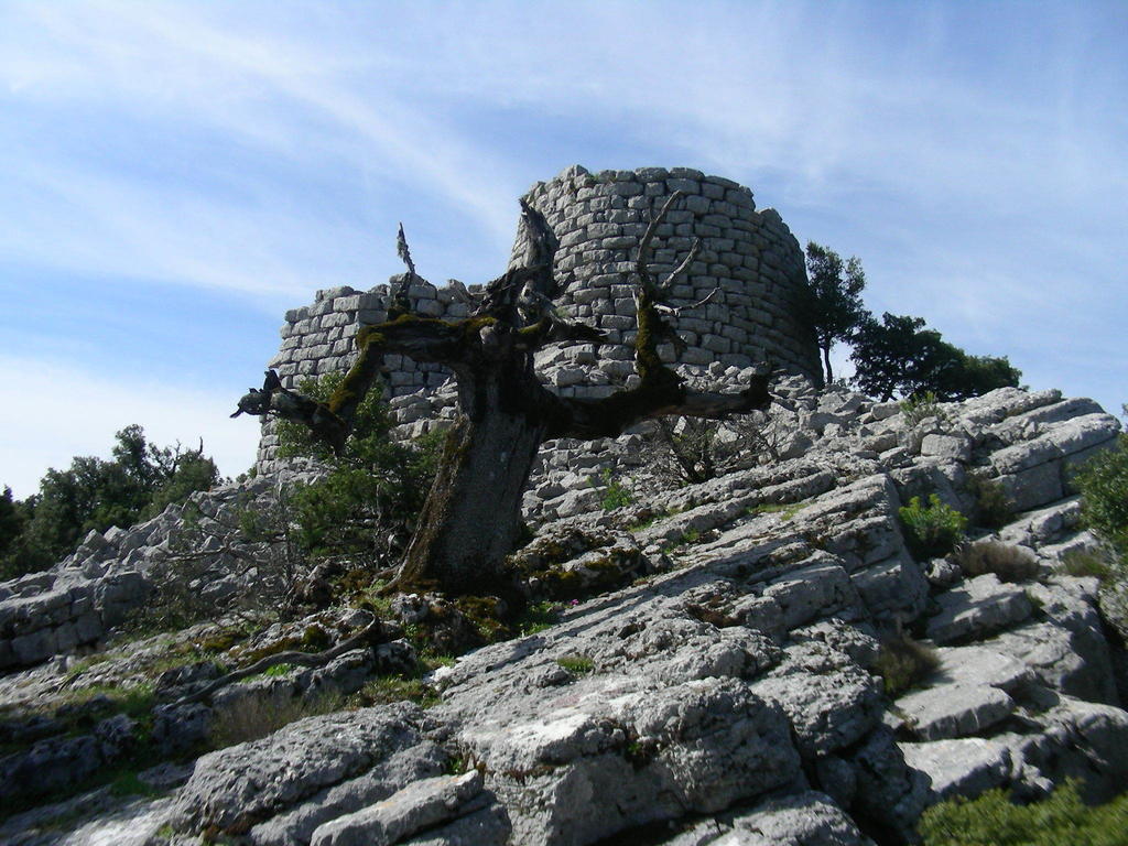 Agriturismo Didone Dorgali Exteriör bild